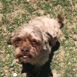 Meet your Posher, Lyann